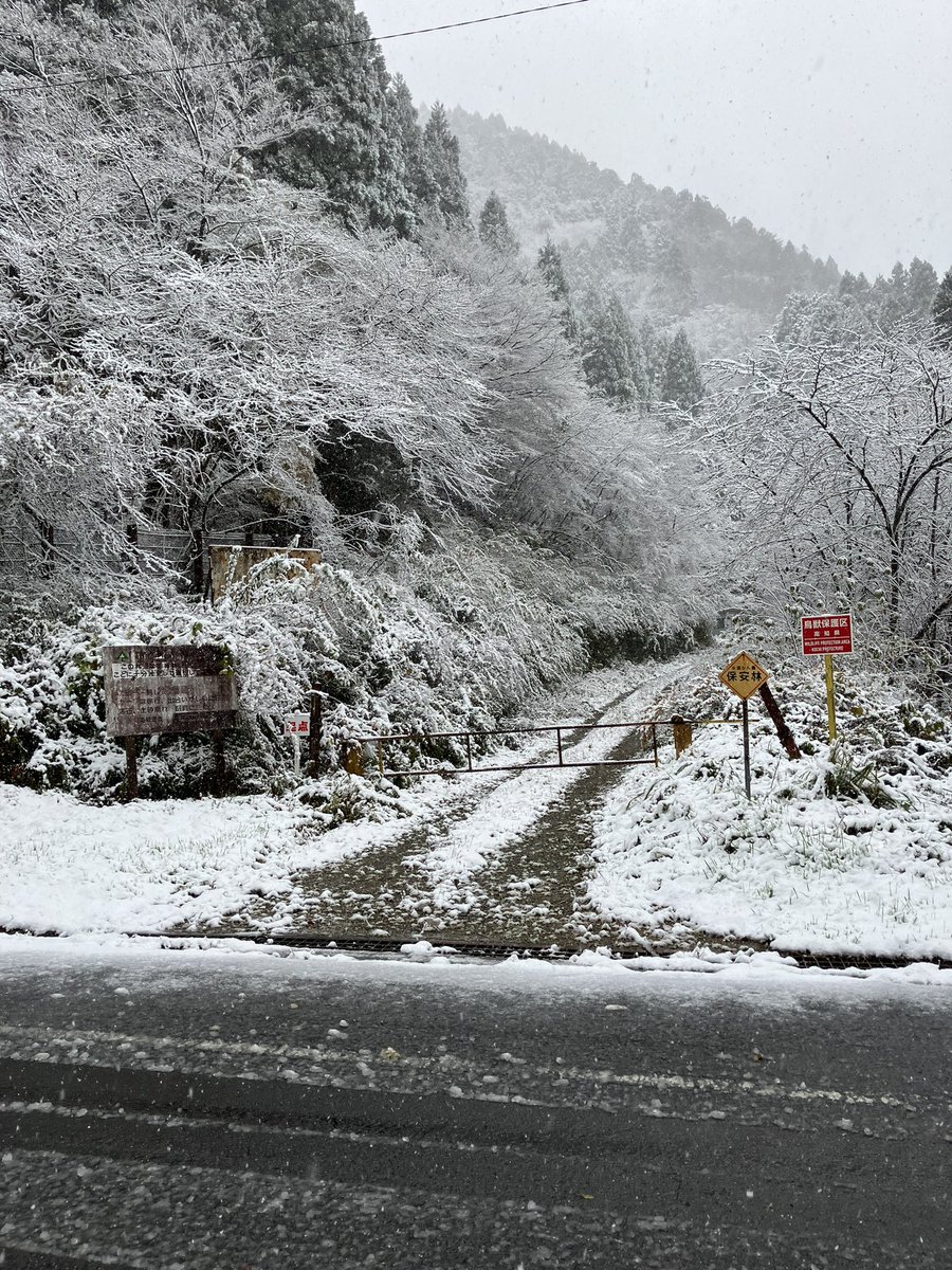 工石山は雪---⛄️