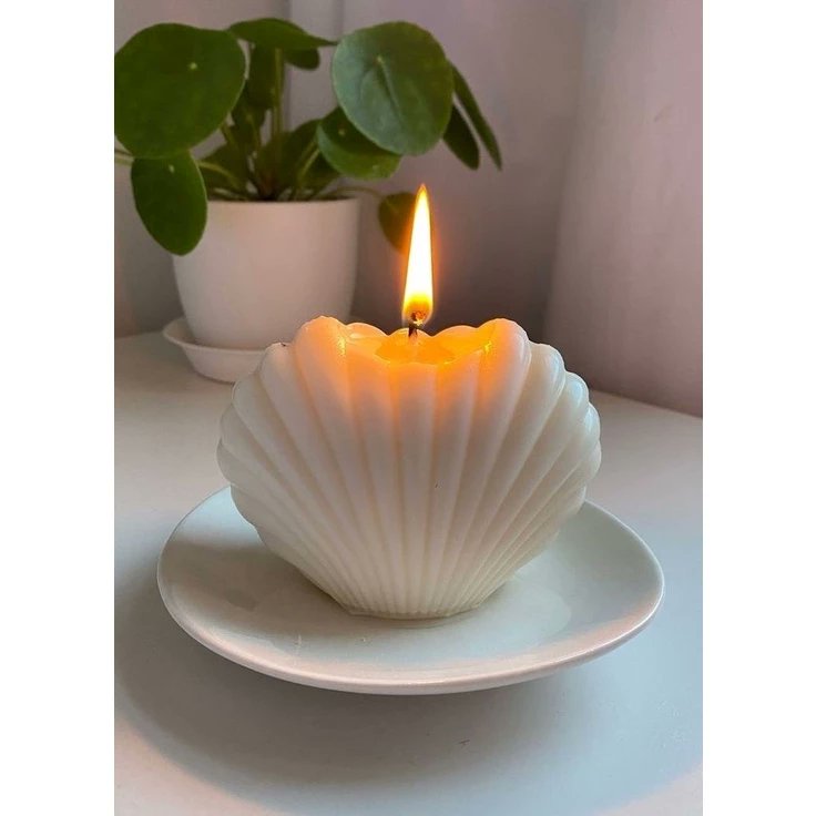 laroseyposey's tweet photo. Sea shells
🛒 https://t.co/0yQj4vN4pV https://t.co/RPaQzcPgHB