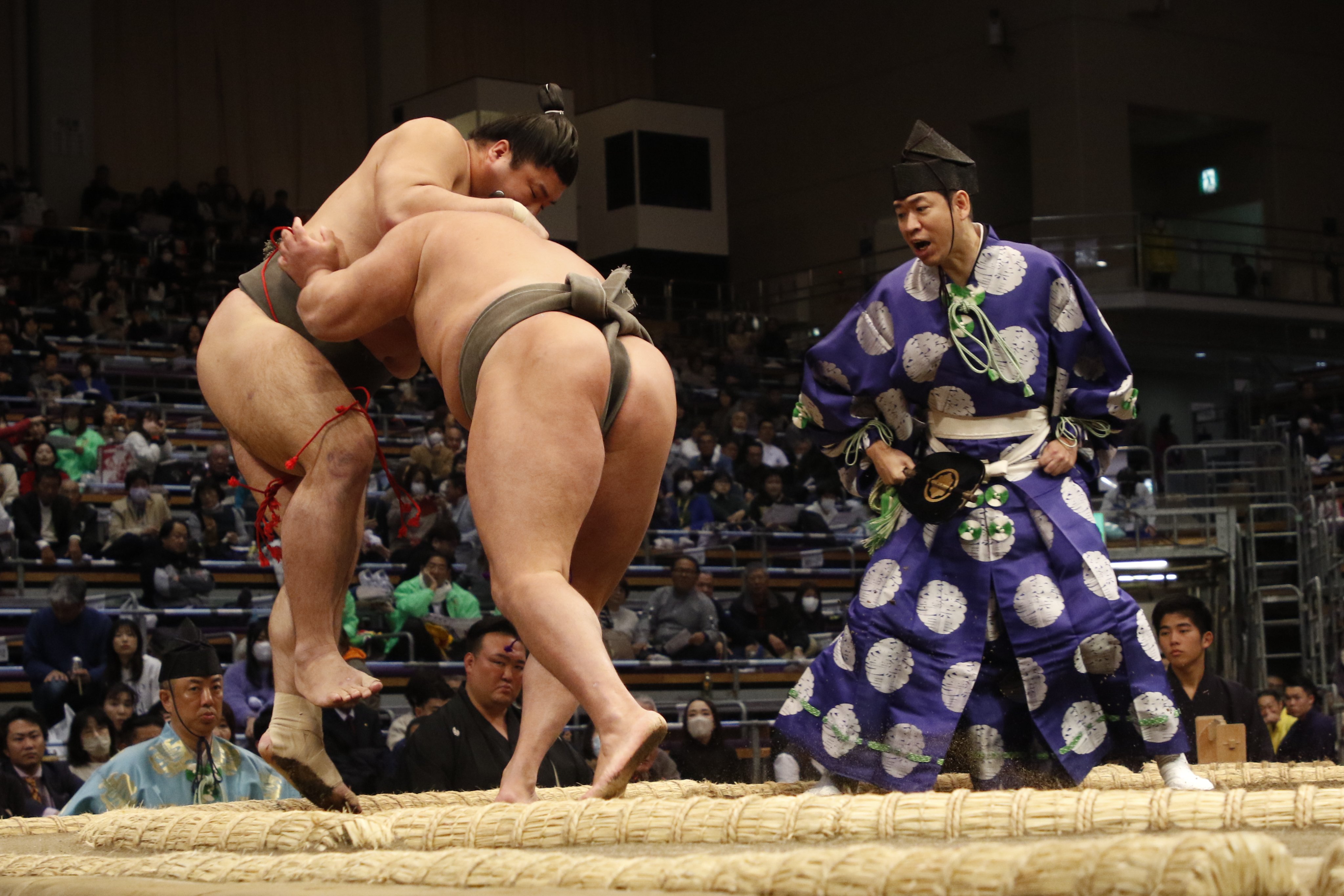 ひ〜ちゃん7です。尊富士 2点 大相撲 尊富士ー欧勝馬＜令和7年一月場所・七日目＞SUMO - YouTube