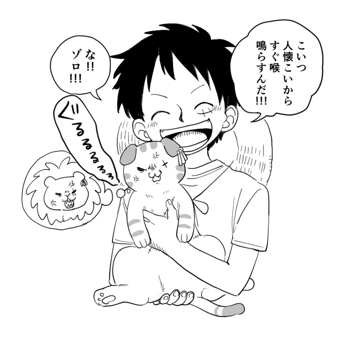 番犬やってるつもりの猫(ルゾ) 