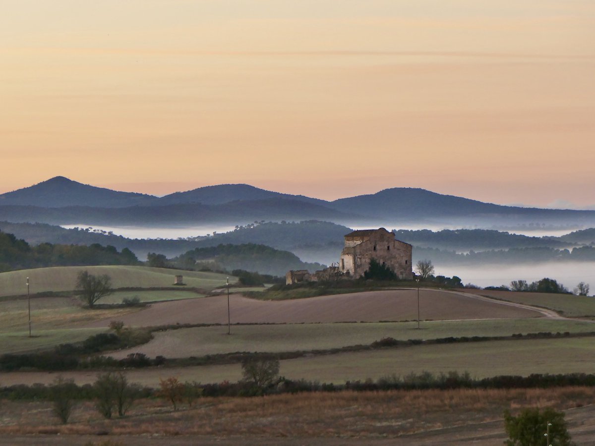 tribusegarra's tweet photo. Bon dia
Sta Coloma de Queralt
Baixa Segarra
#segarrejant #goodmorning #Countryside #Catalonia #magradaelmeupaís @finslagorra_1 @jolival65 @montserumbau @martapontnou @salvad_m @martalbareda @jordicodol @betaltarriba @mccorominas @cantireta @xatoQuico @Ifarre2 @CanelaBalsebre https://t.co/7d2PKShM5L