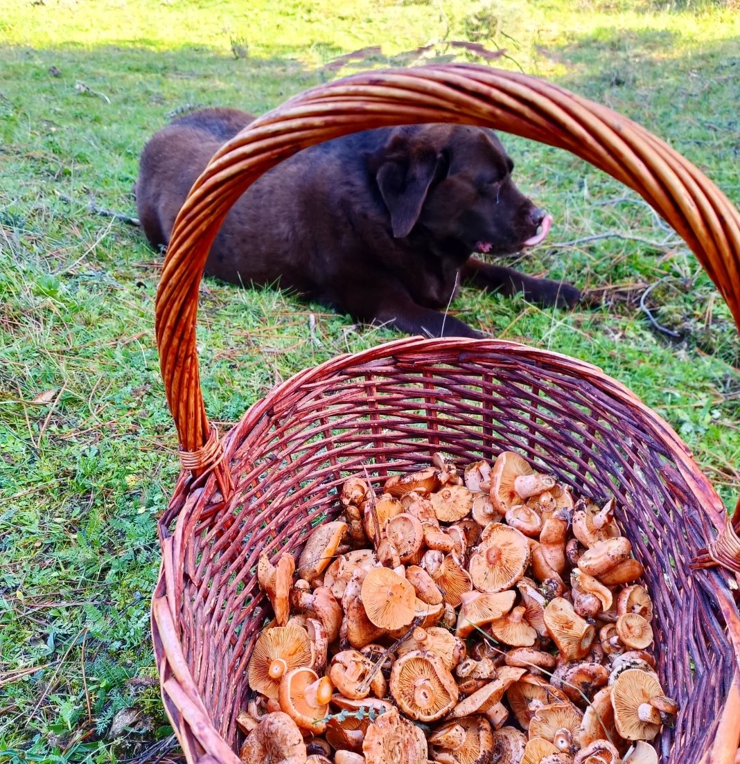 Lo más parecido a la Felicidad!
