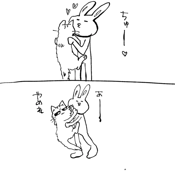 愛猫との日常
 #猫のいる暮らし 