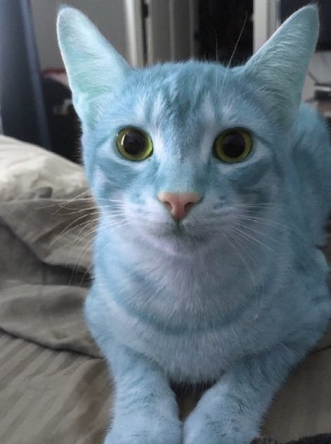 Jaffa_76's tweet photo. GUMBALL WATERSON IS REAL!??!? https://t.co/XoHIvYrAVT