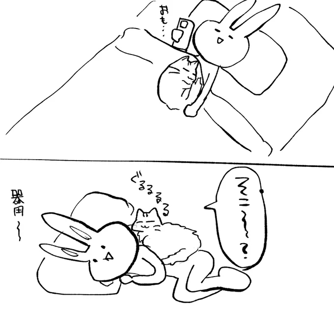 愛猫との日常その2
 #猫のいる暮らし 
