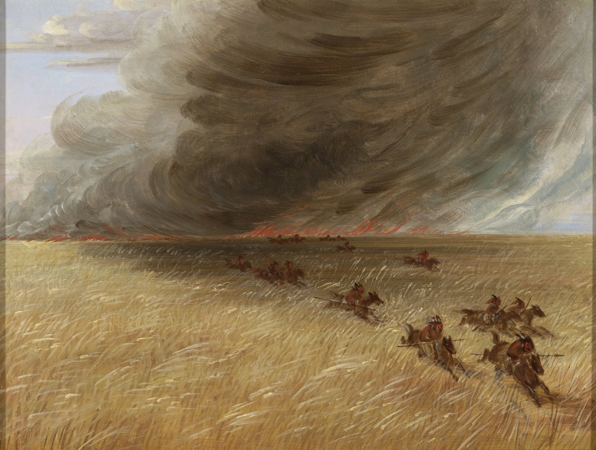 Noah Sabich tweet media