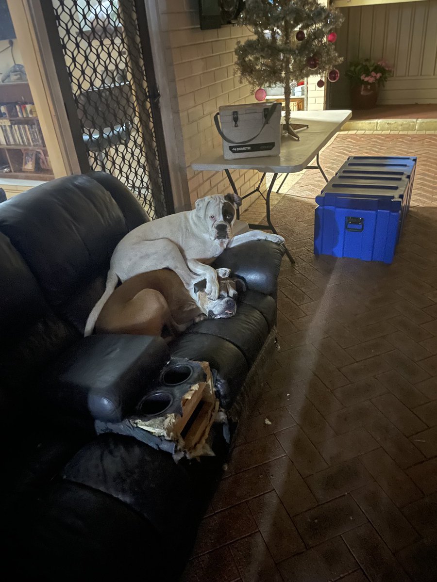 mully1968's tweet image. Poor Turbo