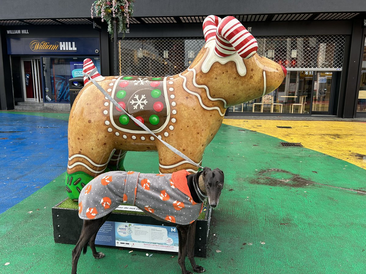 DukeHound16's tweet photo. After a tiring morning of #SnowdogsBrum hunting & find all 10 (only 9 for me as one isn’t dog friendly) I’ve now dragged my hoos to @thecolmoretap for refreshments. I got served first 👍 mum found the rag market too 🙄 curtain making is now added to the list. https://t.co/LTkuPxy196
