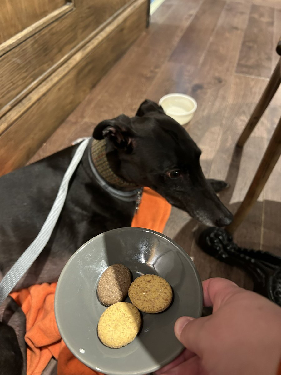 DukeHound16's tweet photo. After a tiring morning of #SnowdogsBrum hunting & find all 10 (only 9 for me as one isn’t dog friendly) I’ve now dragged my hoos to @thecolmoretap for refreshments. I got served first 👍 mum found the rag market too 🙄 curtain making is now added to the list. https://t.co/LTkuPxy196