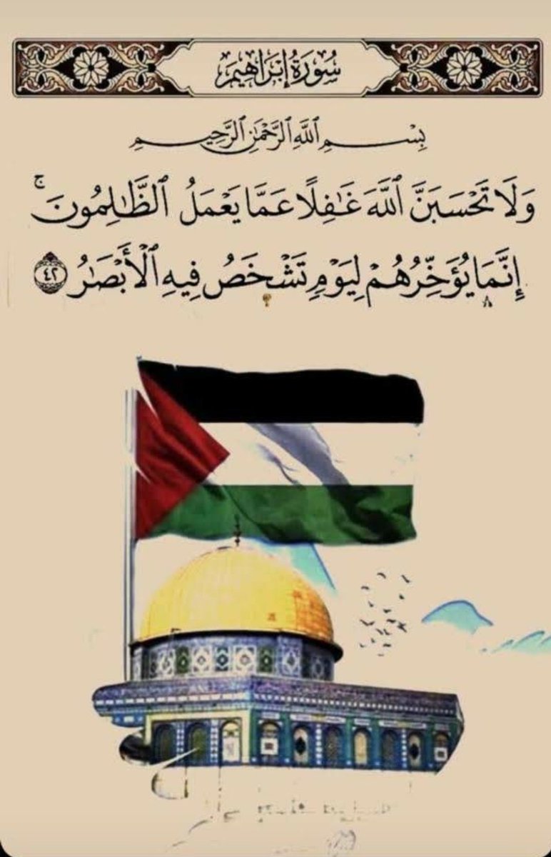 Dr ABdOo alIi MaZRoO🇪🇬 tweet media