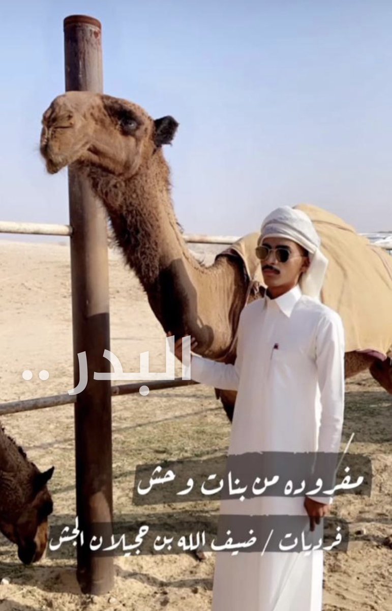 مفروده من بنات وحش لضيف الله بن حجيلان الجش