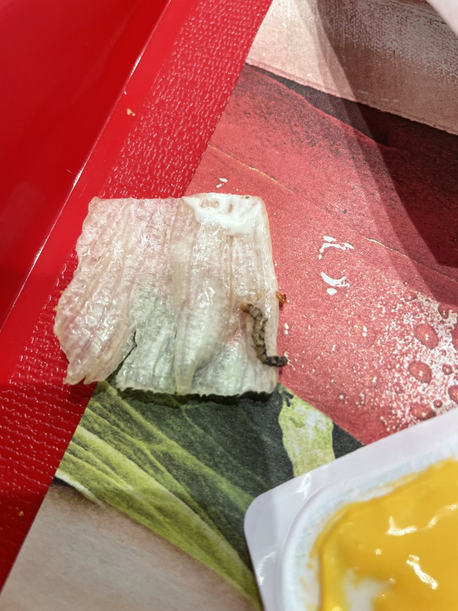 KubaLischka's tweet photo. @BurgerKing And do you know that feeling when Burger King serve burgers with bugs in them at Vienna Airport? The only thing I got from the staff was a new burger, which I definitely don't want to eat, and an unpleasant, almost aggressive attitude, asking what else I want from them. https://t.co/h0dHkS986O