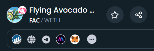 FlyingAvoCat tweet picture