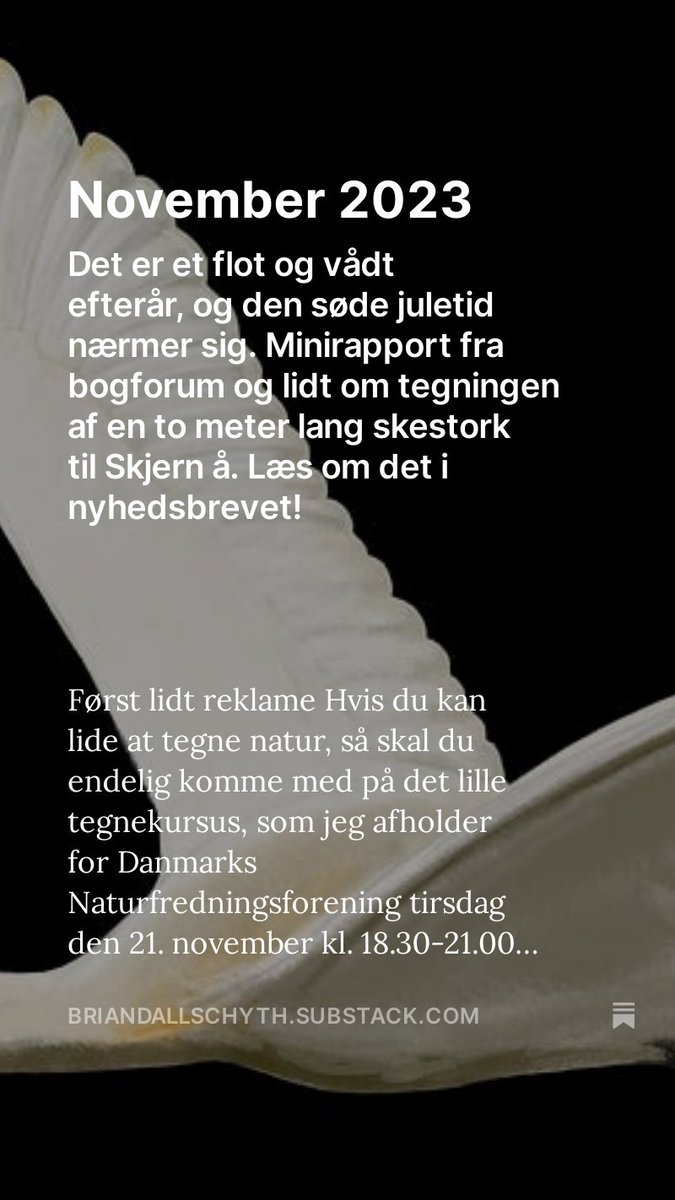 Nyhedsbrevet er i luften 
Link: lnkd.in/dC7qEBct
#natur #illustration #naturillustration #tegndyr #skjernå #biomedbrian #skestork #fugl #bird #bogforum #tegneserie
