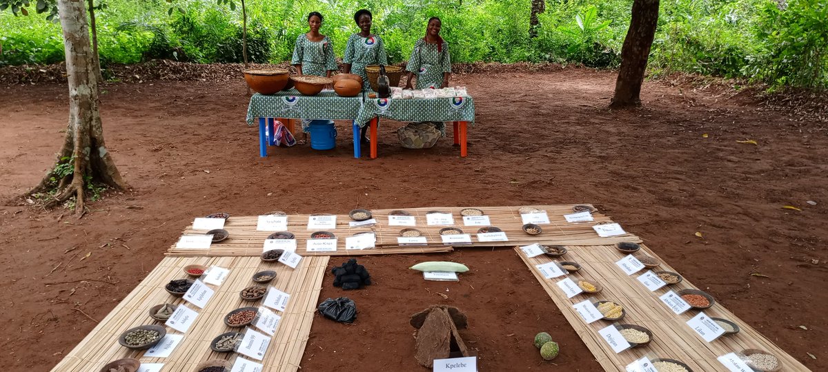Grabe_BeninONG's tweet photo. Lancement officiel du Festival de Solidarité (FESTISOL 2023) sur la ferme École GRAINE FUTURE à Kotan. Exposition des semences traditionnelles et mets locaux en disparition https://t.co/OroFLvuEl5