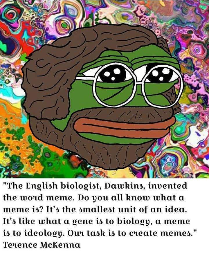 Terence McKenna quote: Our task is to create memes Launch your meme  boldly