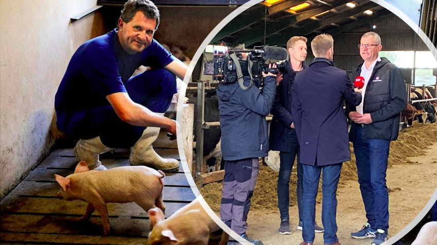 TulleBasen's tweet photo. BREAKING: @moderaterne_dk gruppeformand Henrik Frandsen har igennem flere år haft et 'upassende forhold' til smågrise under sit tidl. virke som landmand i Tønder. 
Henrik Frandsen udtaler dog at alt er sket med samtykke og foregået i tiden før L134 blev vedtaget!
#dkpol #dkmedier https://t.co/1CiLqfeNz9