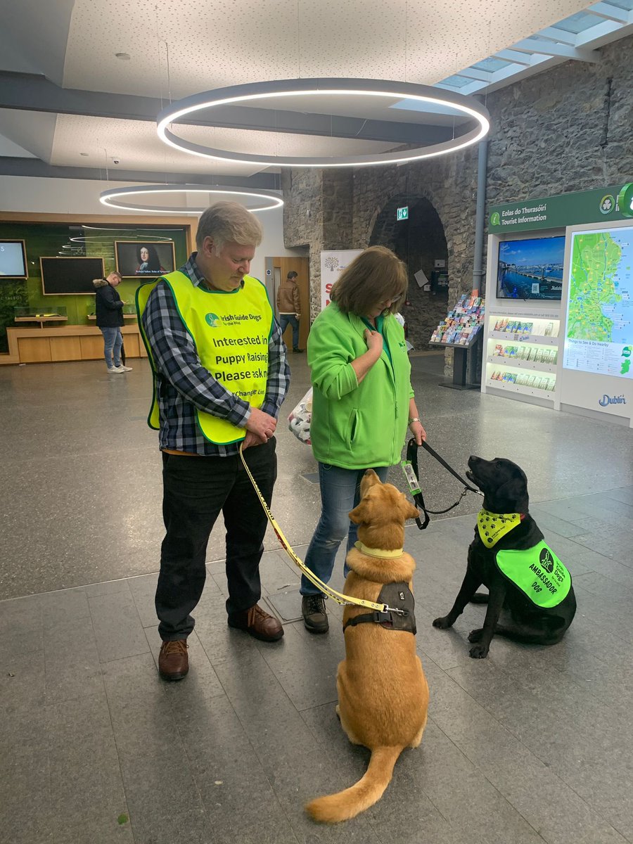 Irish Guide Dogs Portmarnock-Malahide tweet media