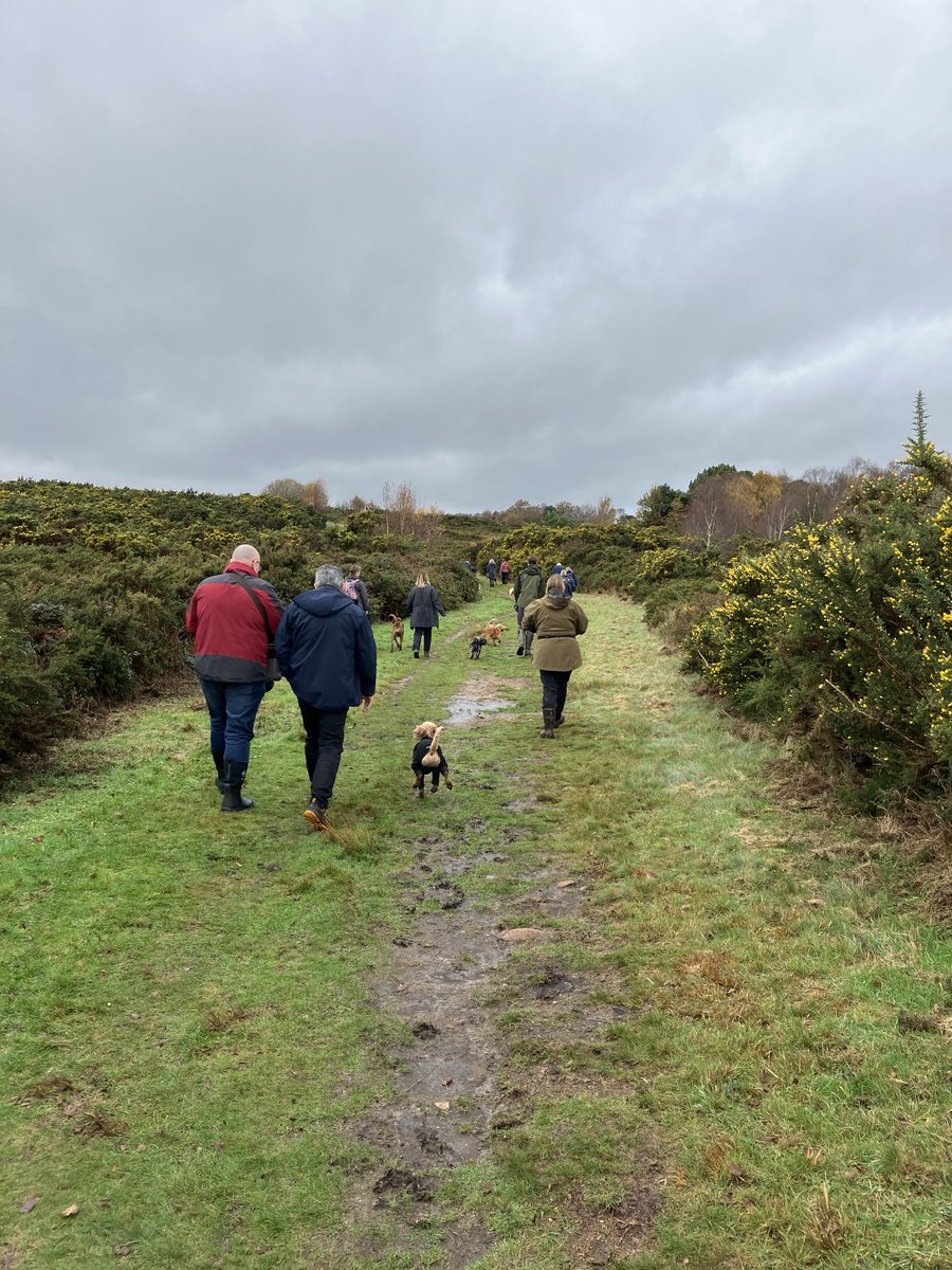 The rain held off for our Waggy Walk around East Budleigh common this morning 🐾😄Dogs and their owners had a great time exploring the Pebblebed Heaths National Nature Reserve🐶
