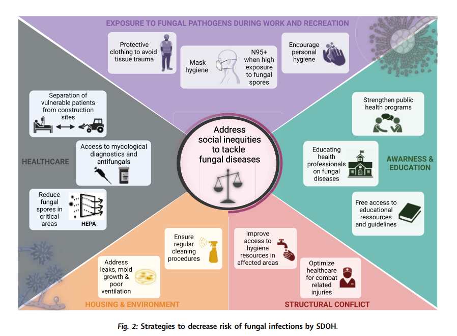 🔥🗞️📰 Social determinants of health as drivers of fungal disease. @eClinicalMed Led by @JeffreyJenks5 with @jprattes @RosanneSprute @matteosciart @MatthiasEgger11 @HatimSati @CarlosdelRio7 @CornelyOliver @GRThompsonMD among others. authors.elsevier.com/sd/article/S25…