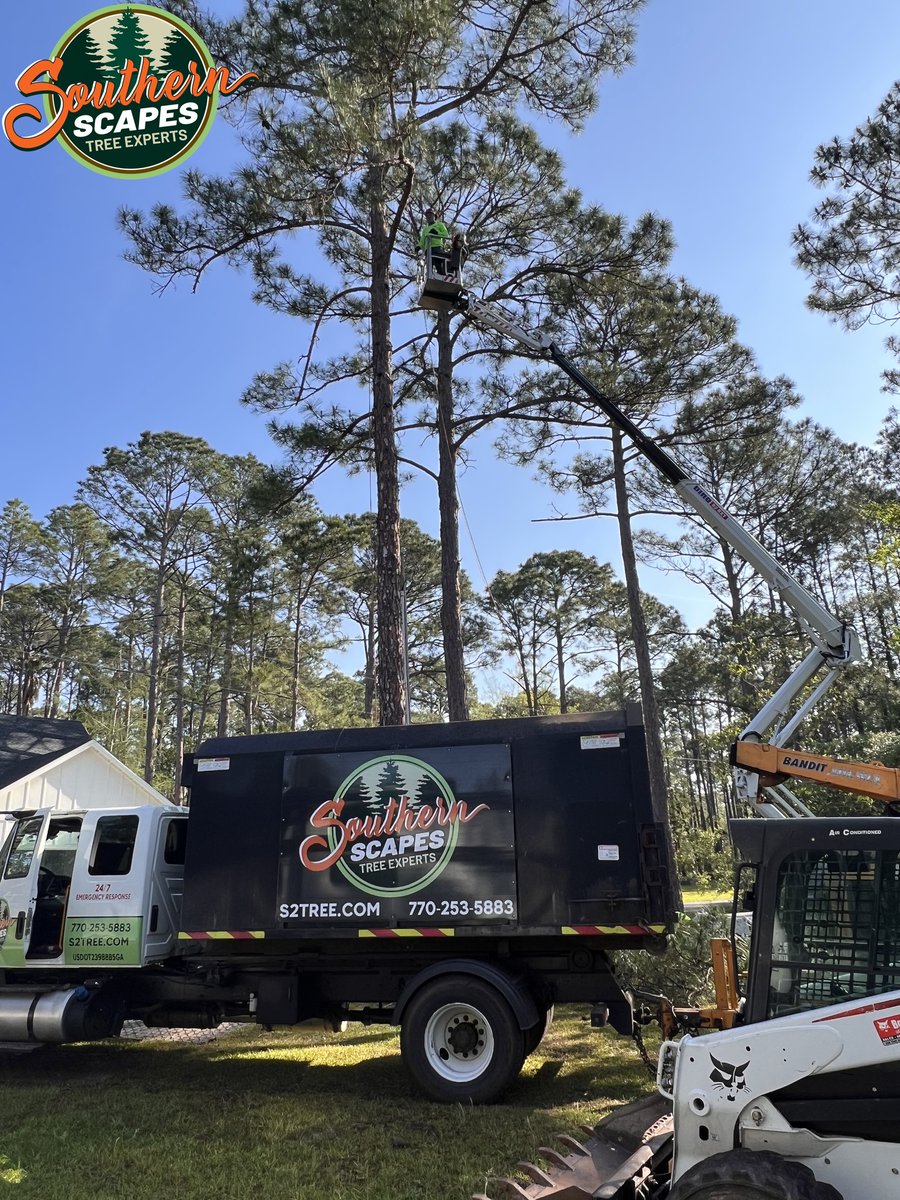 ScapesTree's tweet image. 🌿🛠️ Your trees deserve the best care! 💼⚙️ For 16 years, Southern Scapes Tree Experts has been the go-to choice for tree care, offering top-notch service and a team you can trust.  #TopNotchTreeCare #TrustworthyTeam #SouthernScapesTreeExperts s2tree.com/about-us/