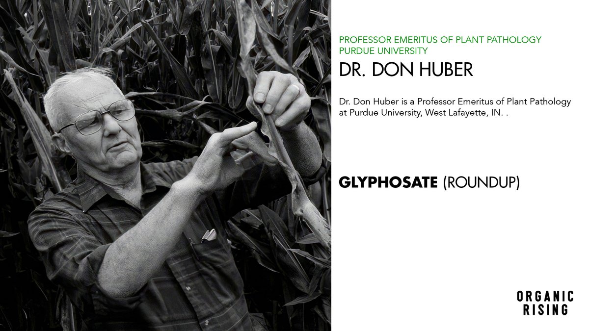 AnthonySuau's tweet photo. ORGANIC RISING - STREAMING this WEEKEND: https://t.co/9mpFPL7OrF

Organic Rising presents renowned scientists who reveal their decades long research on the most widely used synthetic pesticides in conventional agriculture. https://t.co/joB54jcziV