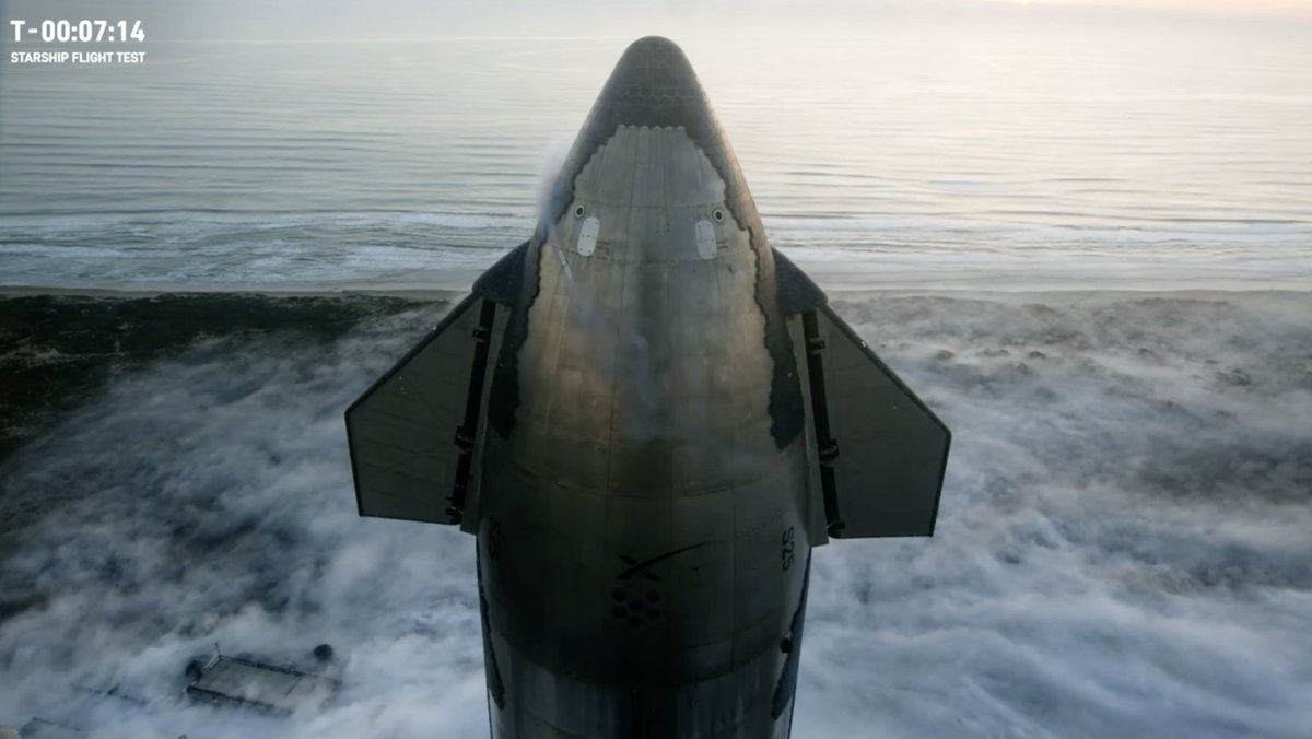 Manuel Mazzanti tweet media