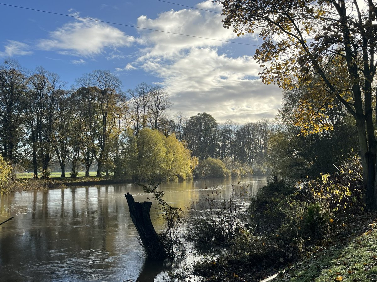 The light yesterday mid morning was just incredible on a 5 mile dog walk. 

#photography #landscapephotography  #worcestershire