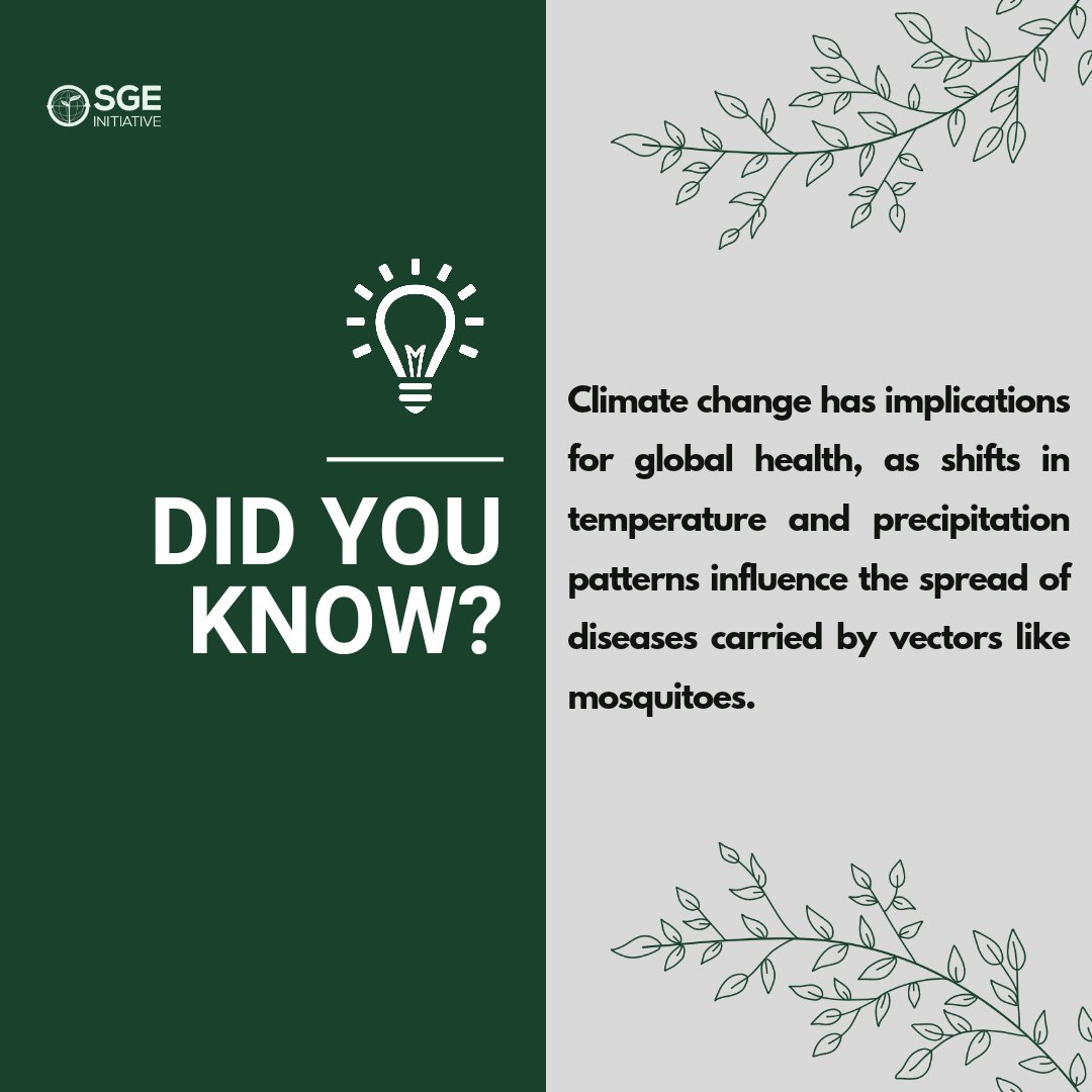 Speed and sustainability matters in tackling climate change, to put an end to the diverse damages it causes. Join in the fight against climate change today.

#climatefacts #sustainability #sgeinitiative #explore #didyouknow