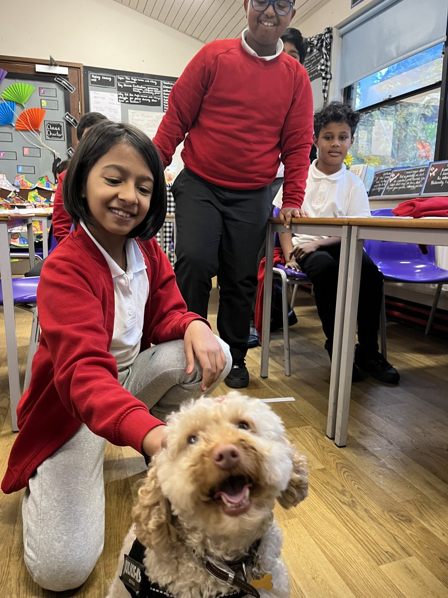 Cardwell Primary tweet media