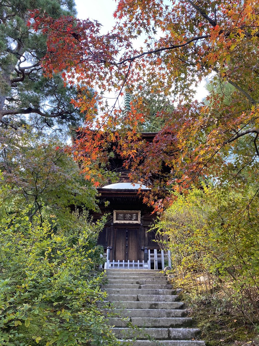 k_YazM's tweet photo. 常寂光寺は少し紅葉あり🍁

♯京都♯常寂光寺 https://t.co/DwTiunZK43