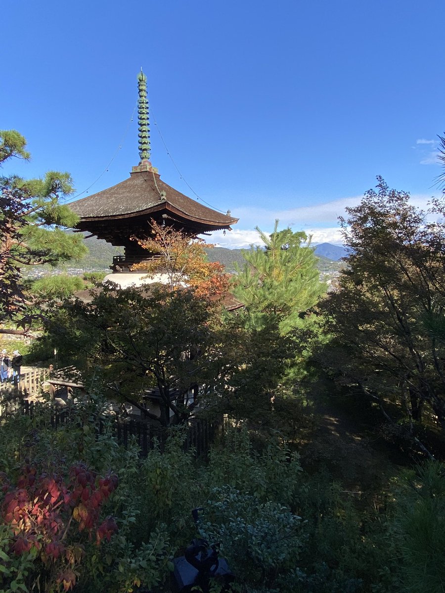 k_YazM's tweet photo. 常寂光寺は少し紅葉あり🍁

♯京都♯常寂光寺 https://t.co/DwTiunZK43