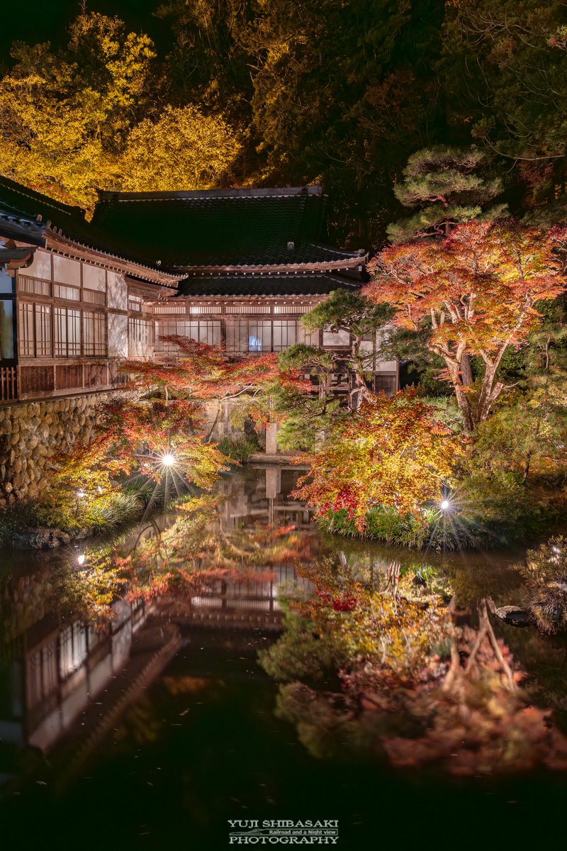 Yuji_48's tweet photo. 宝登山神社の紅葉ライトアップが見事です。

#長瀞 #埼玉県 https://t.co/DHNXyA5knq
