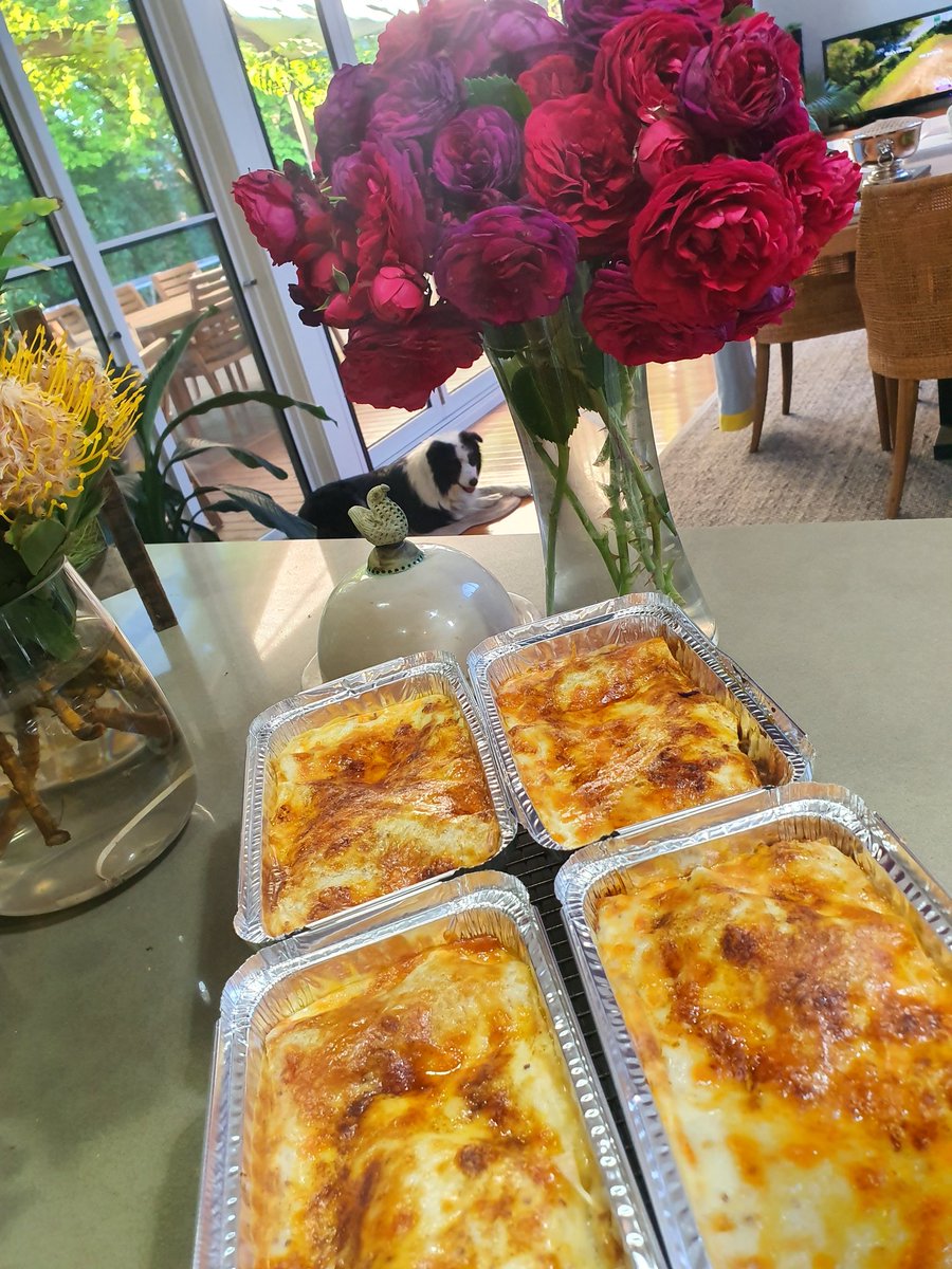 Lasagne...dog not included...
#tractorfood #harvest23
