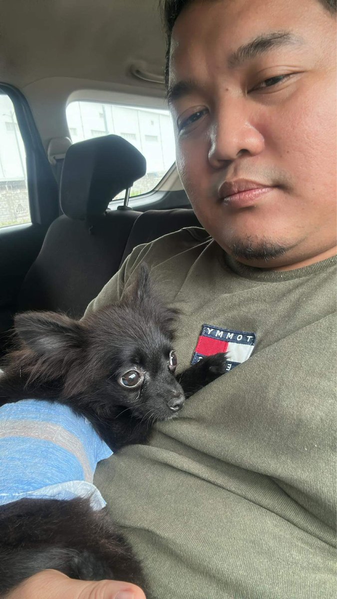 DonadoArmin's tweet photo. With our baby Finn 🥰😘😍 #pomeranian 🐶 https://t.co/OynQ3uQXlZ