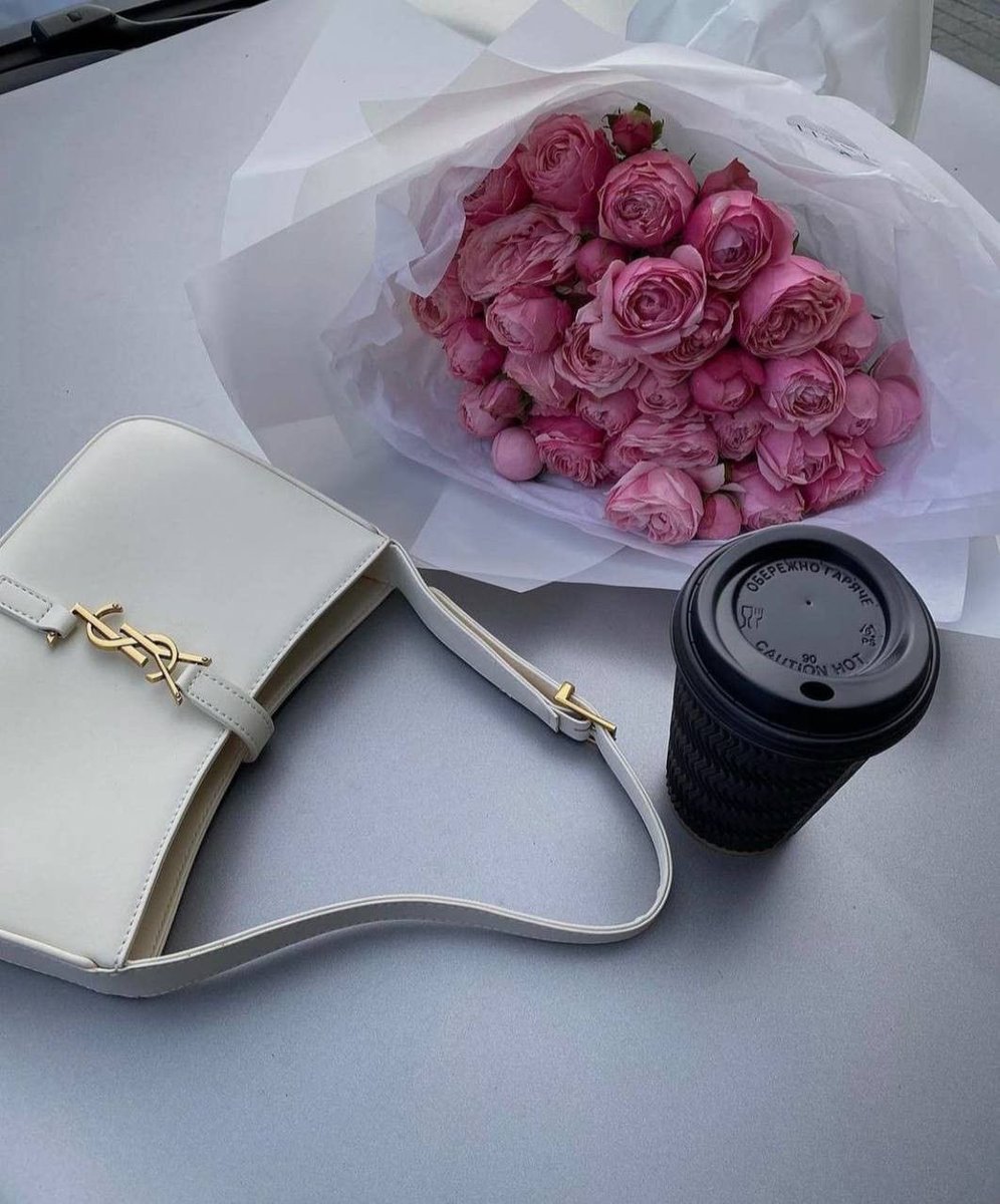 ysl bag 🤍