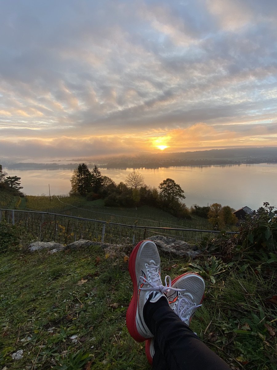 🌄🏃🏻‍♂️🤩 @Jura3Lacs @MySwitzerland_f #Bielersee #Runningdad