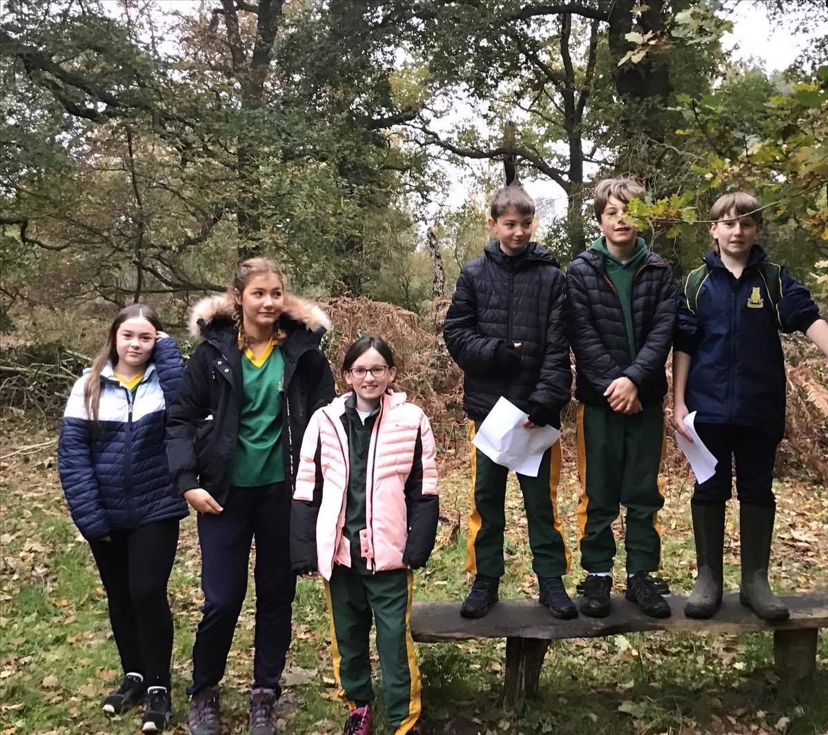 Wellow House School tweet media