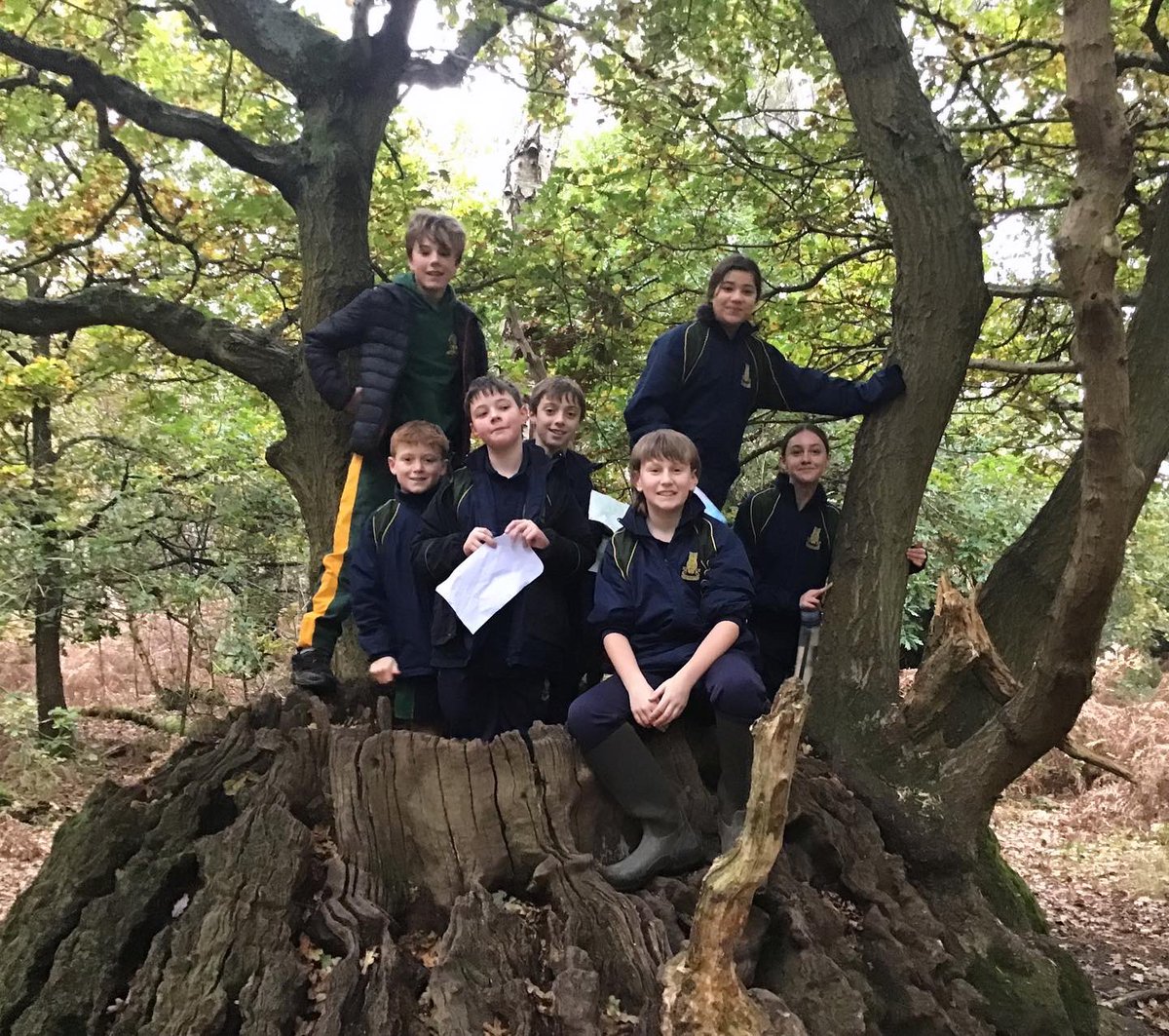 This week, Years 7 &amp; 8 had an amazing time hiking in Sherwood Forest, navigating 🧭 ! 

🥾 🥾 🏔️ 😃 

#wellowhousetrips