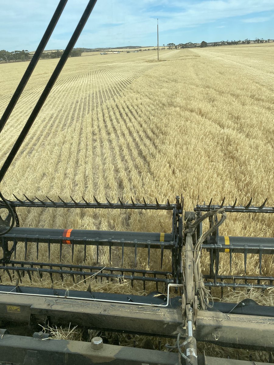 Fair response from the ripping trial site. No machine stood out over another but all had a good yield increase vs control.