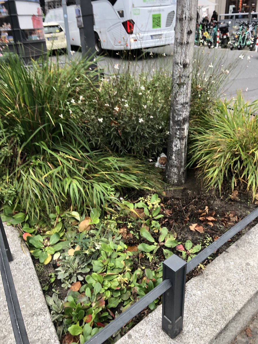 rickygervais's tweet photo. Come &amp; get it. Post a selfie if you find him. https://t.co/I7npYzvldH