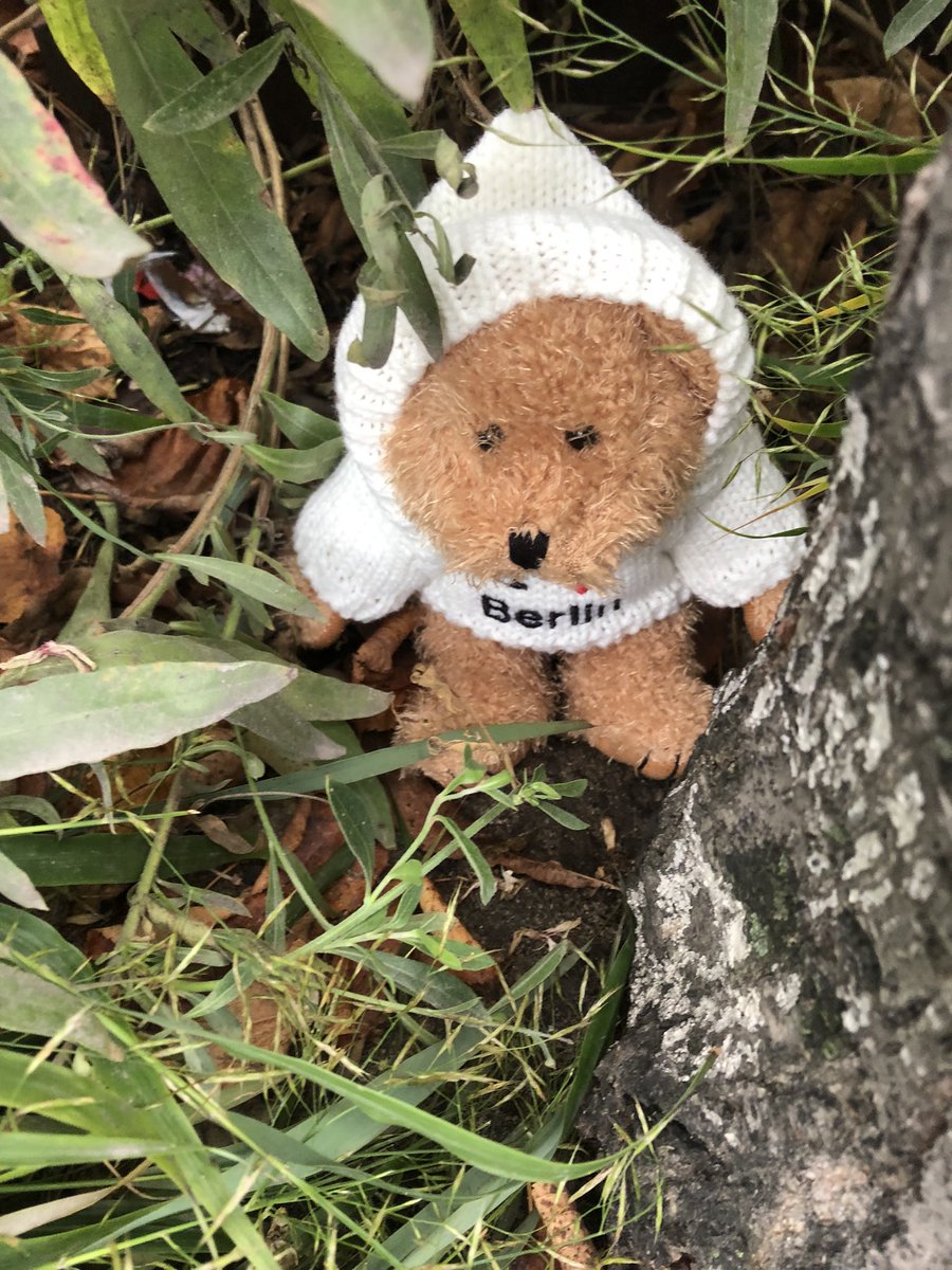 rickygervais's tweet photo. Come &amp; get it. Post a selfie if you find him. https://t.co/I7npYzvldH