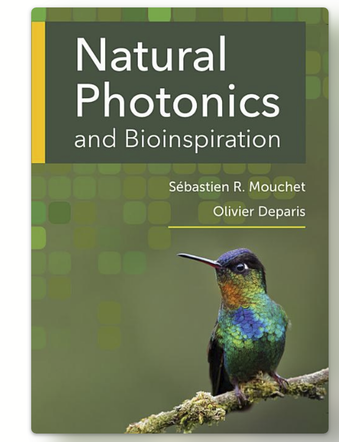 Sebastien R Mouchet (@srmouchet) on Twitter photo End of year sale of <a href="/ArtechHouse/">Artech House</a>!
Get 40% discount on all their #books incl. "Natural #Photonics and #Bioinspiration" until 31 Dec!
uk.artechhouse.com/Natural-Photon…🦋🪲🐙🐠🦆🦚🪺🌱
Some good bargains for #Thanksgiving, #BlackFriday, #StNicholas, #Christmas & any end-of-the-year occasion! End of year sale of <a href="/ArtechHouse/">Artech House</a>!
Get 40% discount on all their #books incl. "Natural #Photonics and #Bioinspiration" until 31 Dec!
uk.artechhouse.com/Natural-Photon…🦋🪲🐙🐠🦆🦚🪺🌱
Some good bargains for #Thanksgiving, #BlackFriday, #StNicholas, #Christmas & any end-of-the-year occasion!