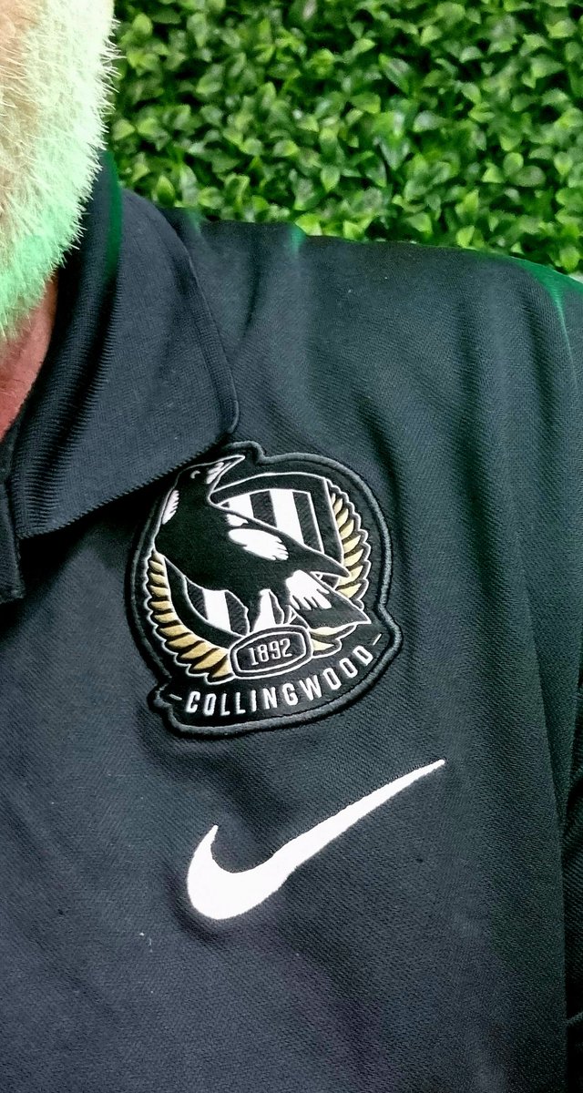 PieNorthern's tweet photo. Every Saturday until we are no longer Premiers! May that be a long, long time! #GoPies #PremiersBaby #16Times #HappyPremiershipAnniversary @CollingwoodFC https://t.co/IlcPMVhMtp