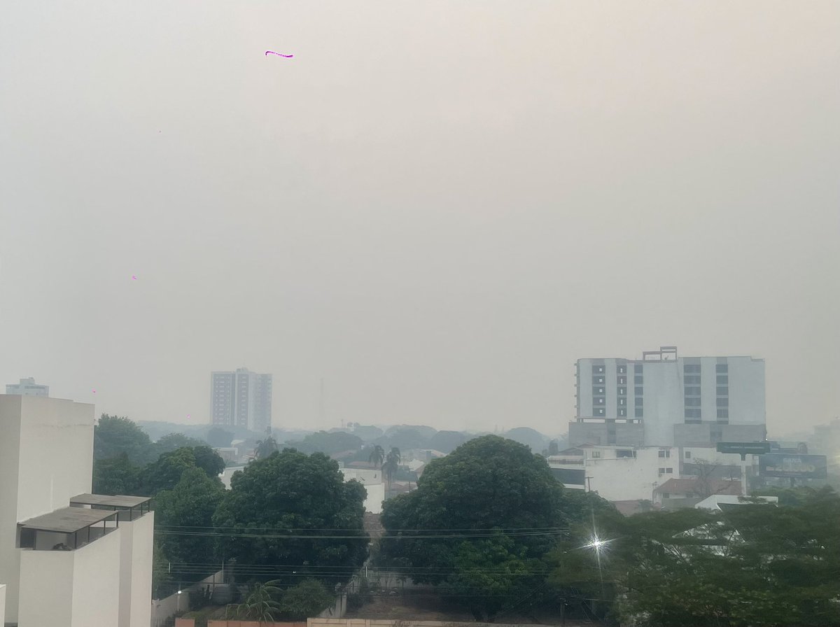 HomeroCarvalho's tweet photo. Hoy, Santa Cruz de la Sierra, amaneció con más humo que nunca por culpa de los incendios; mientras tanto el gobierno sigue afirmando que todo está controlado. Si, todo está controlado para que sigan los incendios. https://t.co/oGgeEisF5h