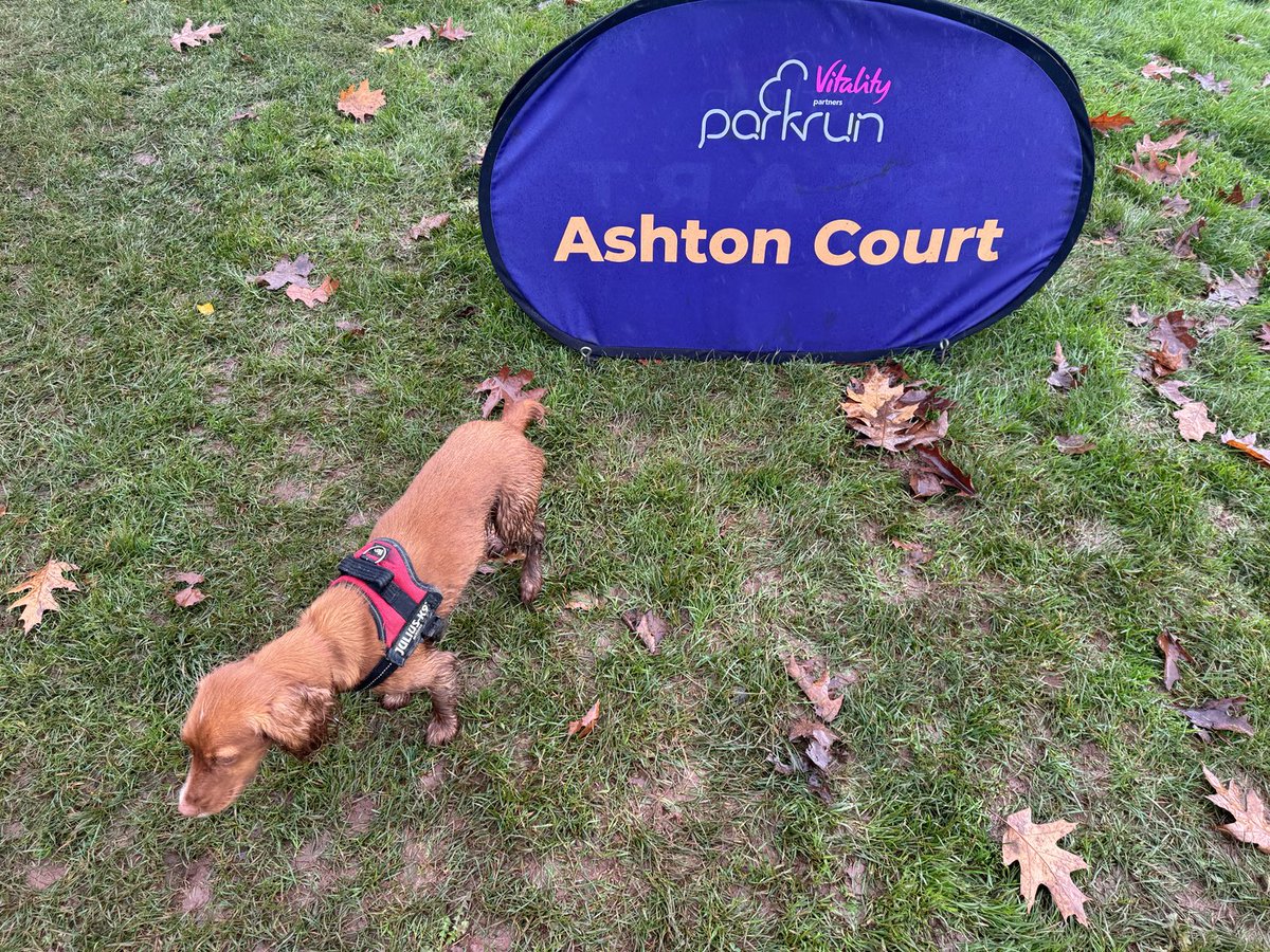 john_gleave's tweet photo. Saturday morning ⁦@parkrunUK⁩ ⁦@ashtonctparkrun⁩ for 2 and 4 legs - all done just before rain started! https://t.co/4M8aGwZvdV