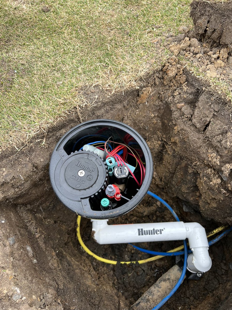 Andre Holt tweet media