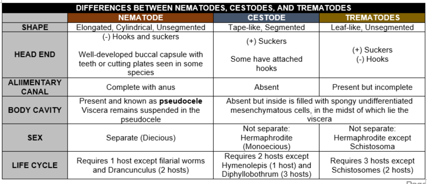 ash, RMT tweet media