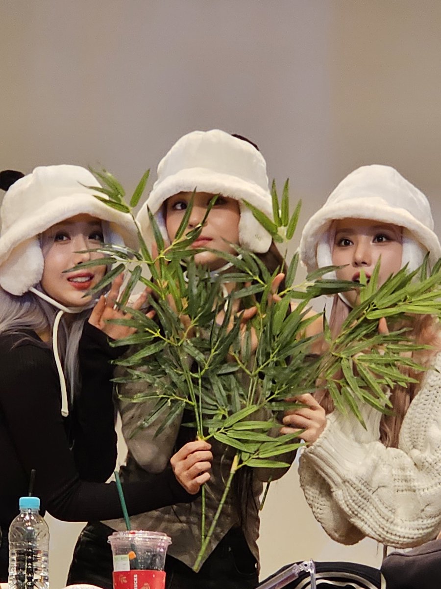 kimnote_159's tweet photo. 231118 팬사인회
#VIVIZ #은하 #EUNHA #신비 #SINB #엄지 #UMJI https://t.co/TOGuoCMucQ