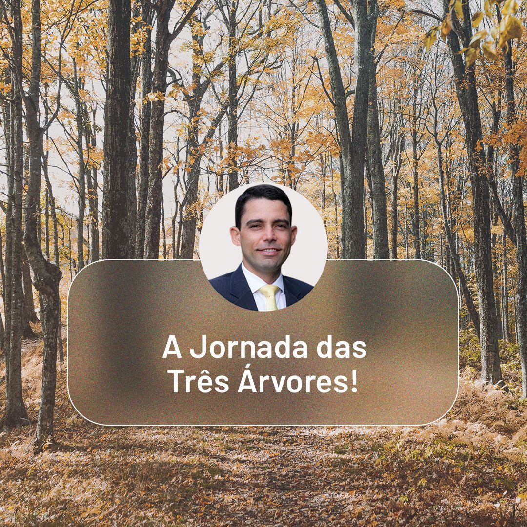 Imagine três árvores com muitas possibilidades. Uma poderia ser um berço para um príncipe, a segunda poderia ser casco de um barco de luxo, e a terceira poderia se transformar em um trono real.  🌳🌳🌳

Leia completo: buff.ly/3tWv0V0